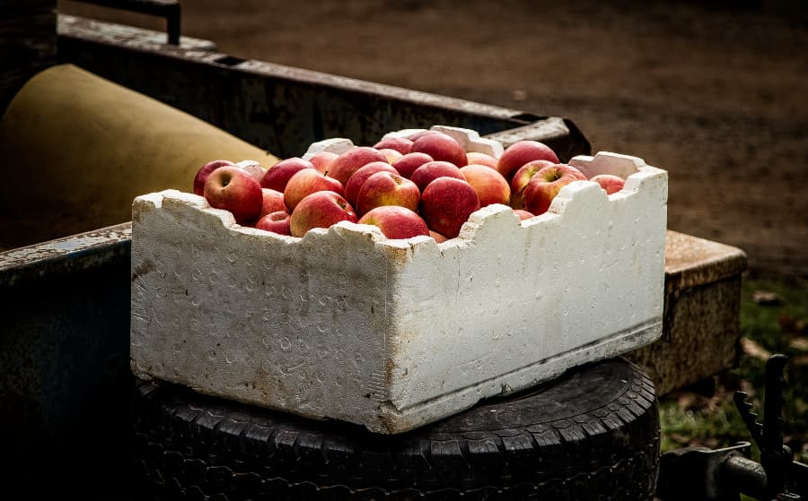 Are You Ready for Cider Month?